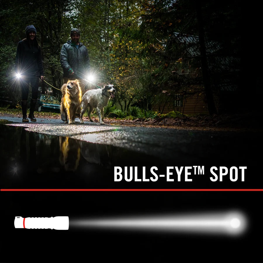 G24 INSPECTION LIGHT - Hollis Supply